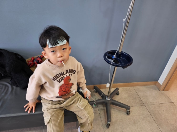  폐렴에 이은 A형독감, 4살 후기 (증상, 타미플루, 보험 청구서류)