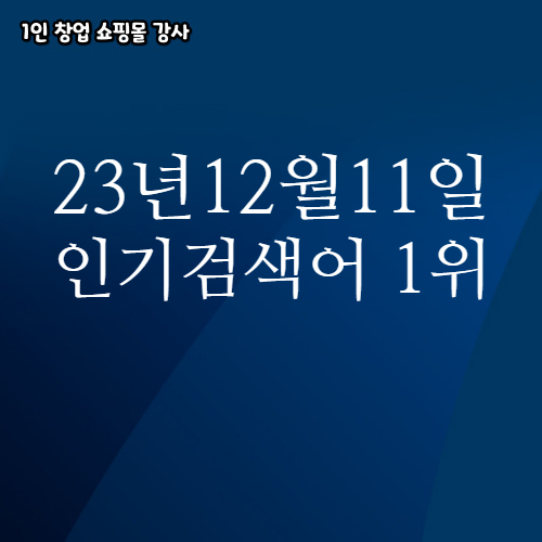 2023년 12월 11일 네이버쇼핑 분야별 인기 검색어 1위