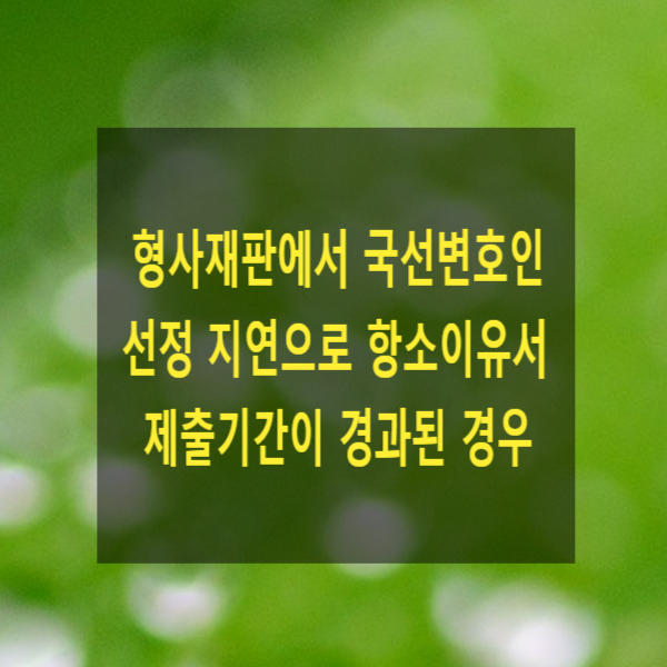  형사재판에서 국선변호인 선정 지연으로 항소이유서 제출기간이 경과된 경우