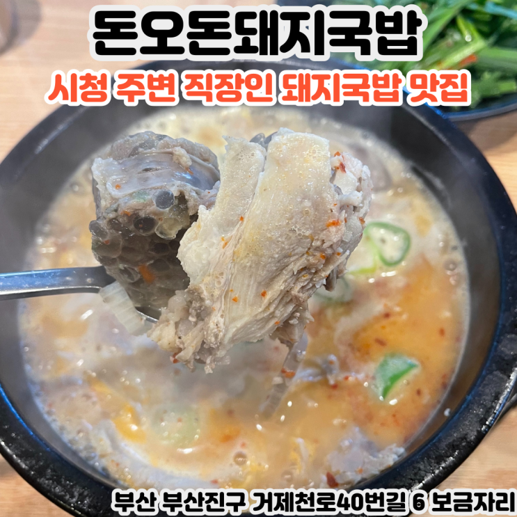  부산INFJ의 맛집여행 - [부산 시청] 돈오돈돼지국밥 : 시청 주변 평일 직장인 점심을 책임지는 돼지국밥 맛집