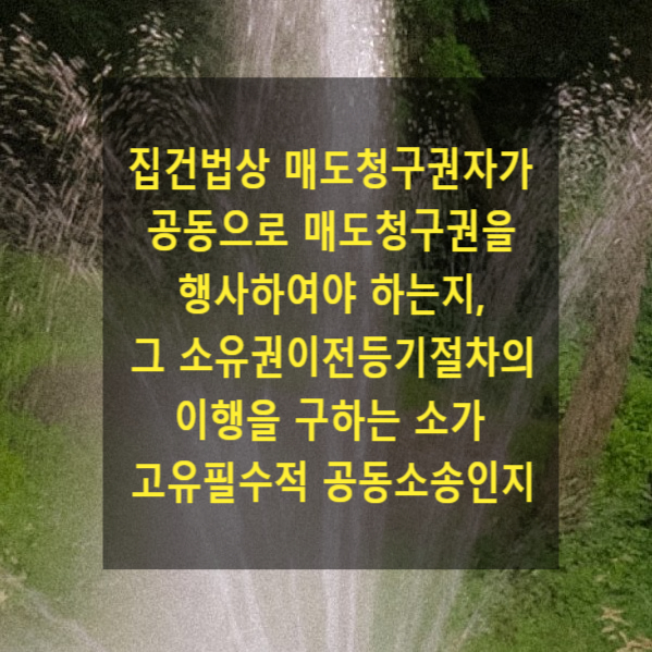  집합건물법상 매도청구권자가 공동으로 매도청구권을 행사하여야 하는지, 그에 따른 소유권이전등기절차의 이행을 구하는 소가 고유필수적 공동소송인지