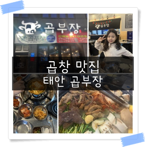  [태안맛집] 태안터미널 동문리 곱창맛집 곱부장