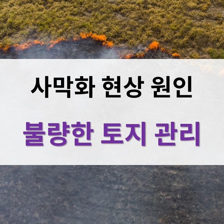 사막화 현상의 원인, 사례 지역, 생명공학 화학 지구과학적 해결방안 Desertification : 네이버 블로그