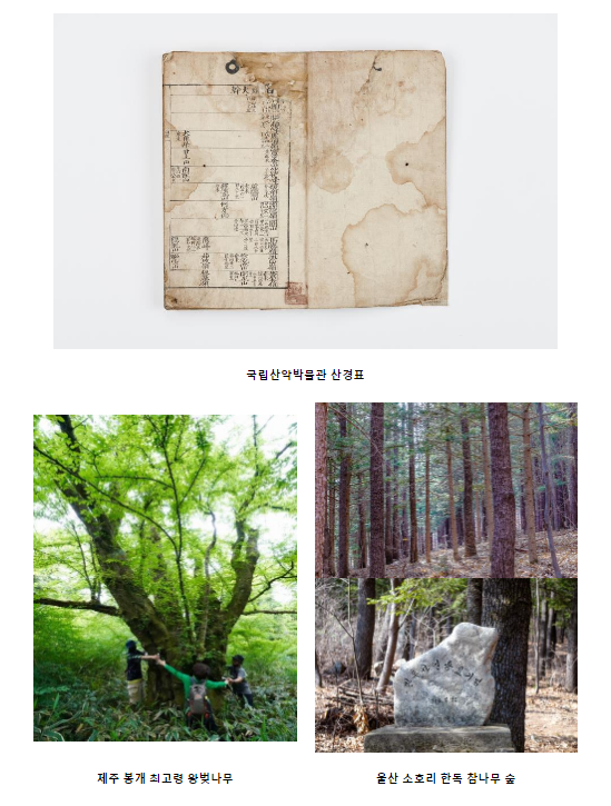 올해 ‘국가 산림문화자산’ 11개소 신규 지정 올해 ‘국가 산림문화자산’ 11개소 신규 지정