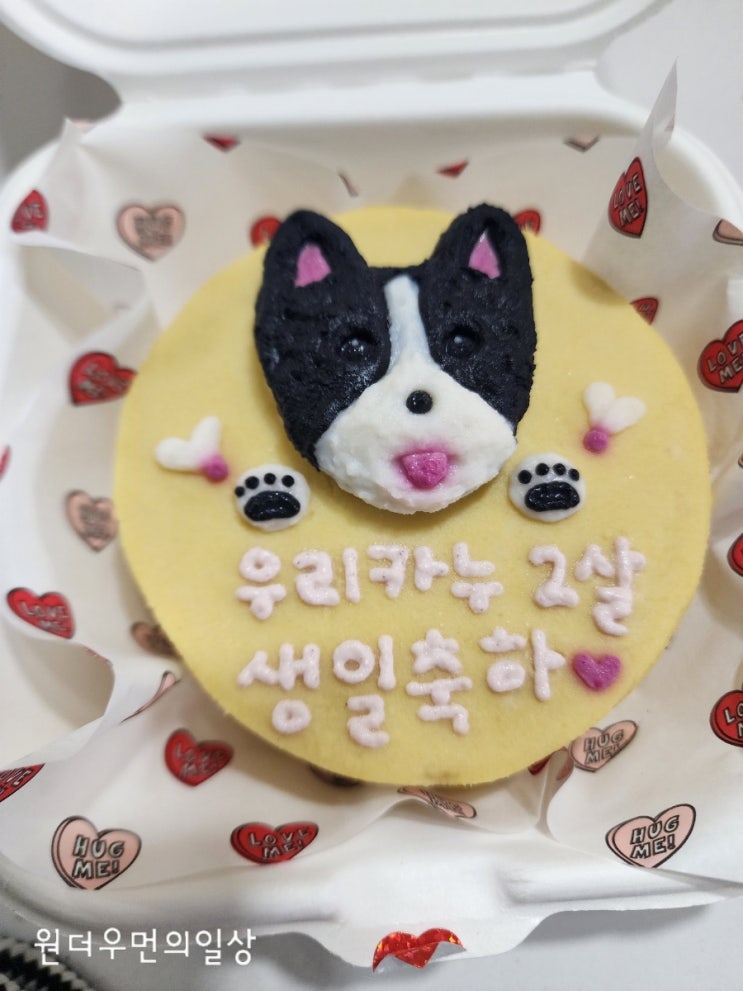  의정부 수제애견간식 케이크전문점-츄잇츄