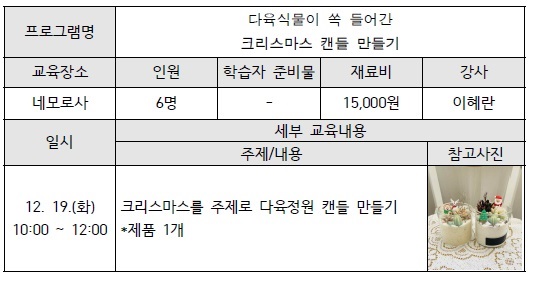  (부산서구)(무료교육)크리스마스 다육식물 캔들만들기