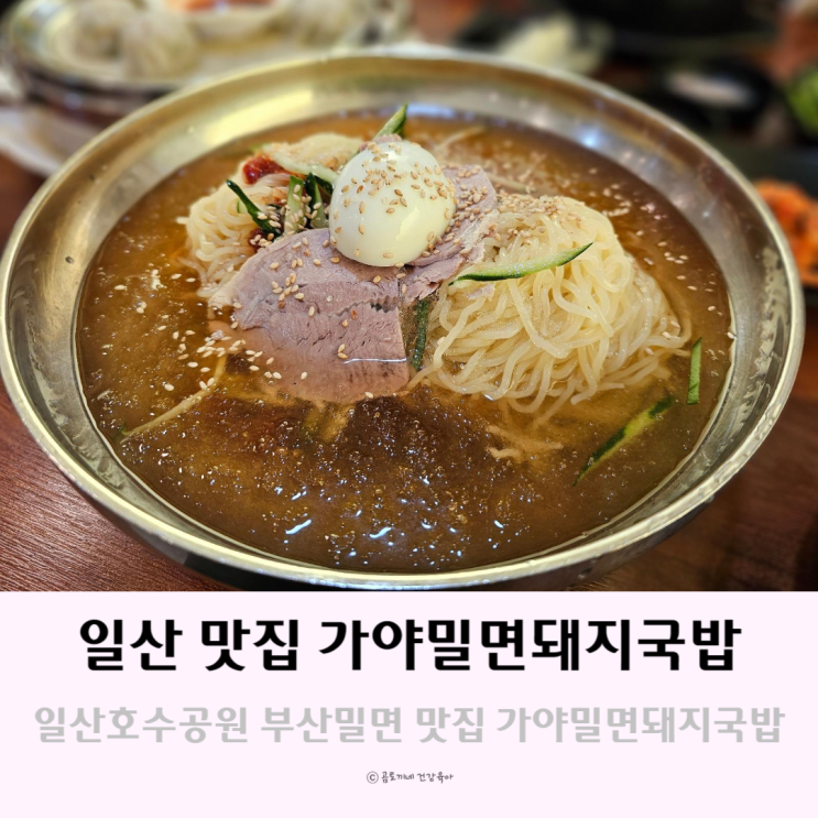 일산호수공원 근처 부산밀면 맛집 가야밀면돼지국밥 일산호수공원 근처 부산밀면 맛집 가야밀면돼지국밥