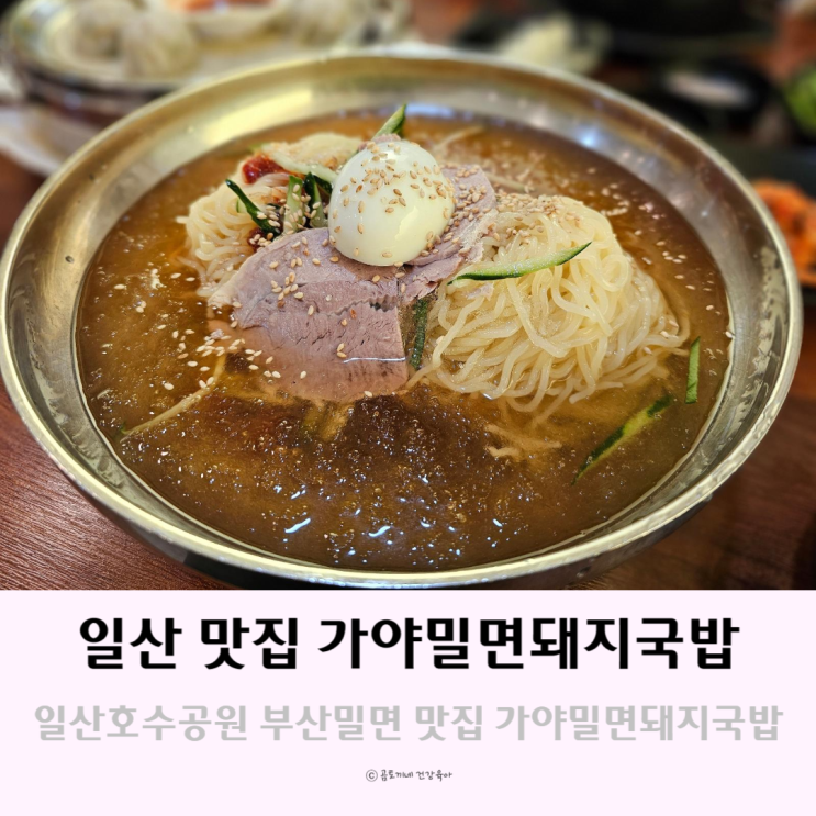 일산호수공원 근처 부산밀면 맛집 가야밀면돼지국밥