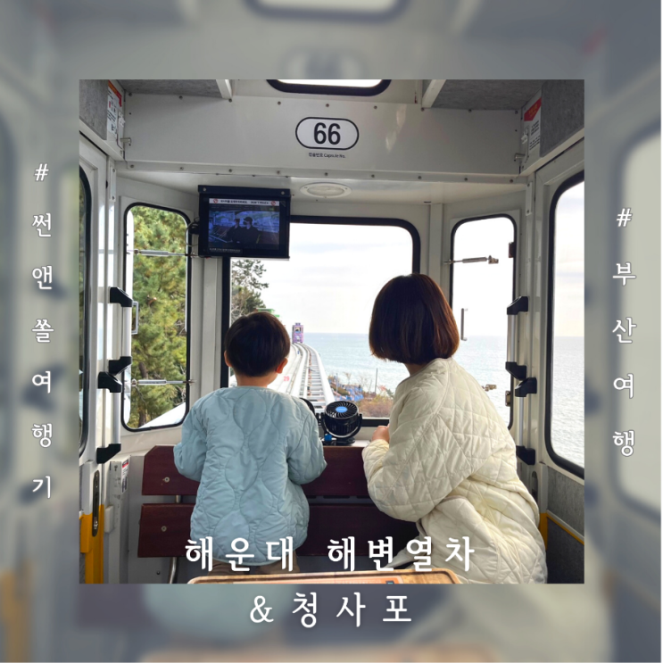  부산 스카이캡슐 해변열차 할인가격 탑승 후기와 청사포볼거리