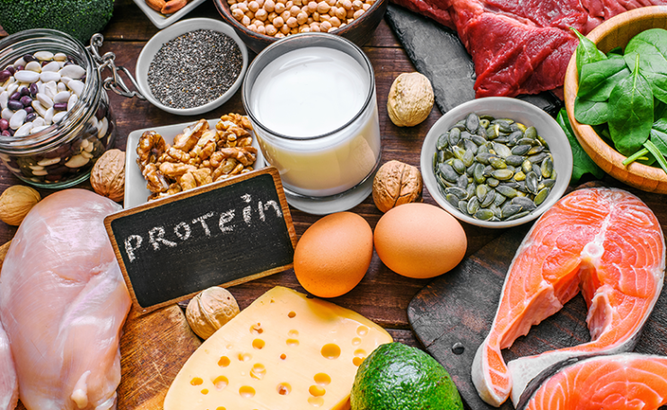  (주)알투비 - 단백질이란?