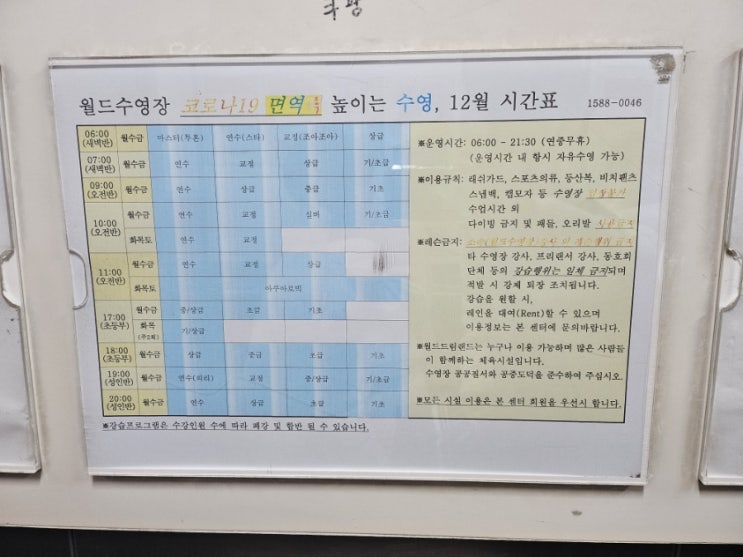  월즈드림랜드 12월 수영 강습 시간표