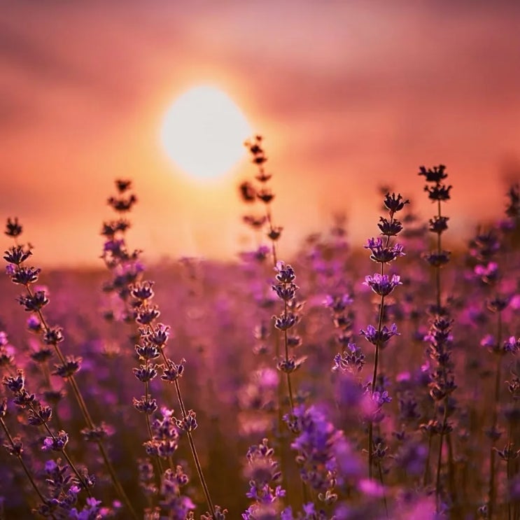   오늘의 생활정보 (2023-12-12, 화)