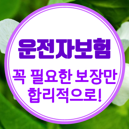  꼭 필요한 운전자보험 보장내용과 간편하게 운전자보험가격비교 해보는 곳