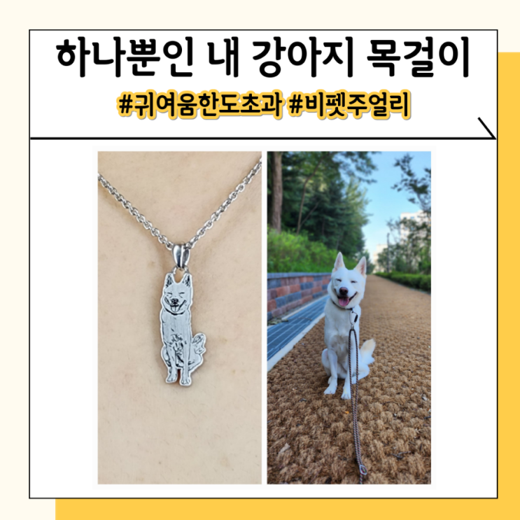 단 하나뿐인 강아지 은 금 펜던트 목걸이 비펫주얼리 단 하나뿐인 강아지 은 금 펜던트 목걸이 비펫주얼리
