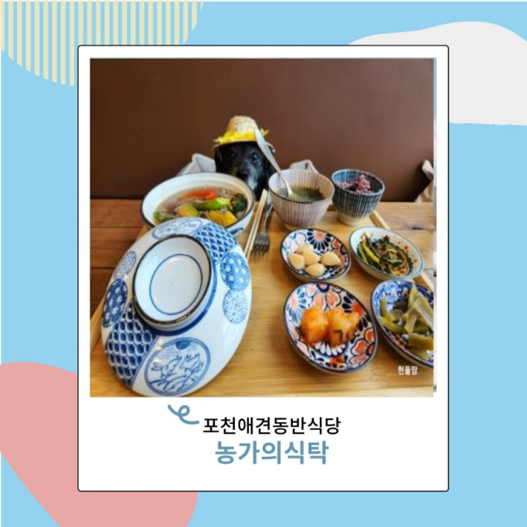 포천 애견동반 식당 농가의식탁 강아지 실내 가능 포천 애견동반 식당 농가의식탁 강아지 실내 가능