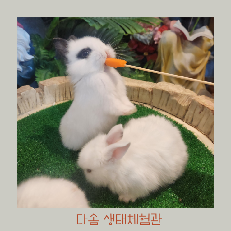  경산 nc백화점 다솜생태체험관 대구 근교 아이들과 가볼만한곳