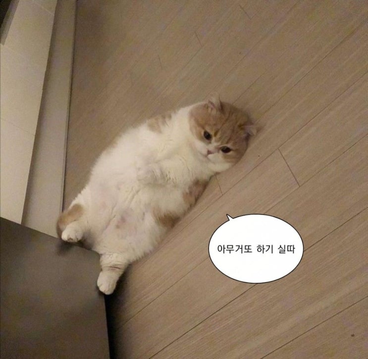  11월의 이모저모 - 2