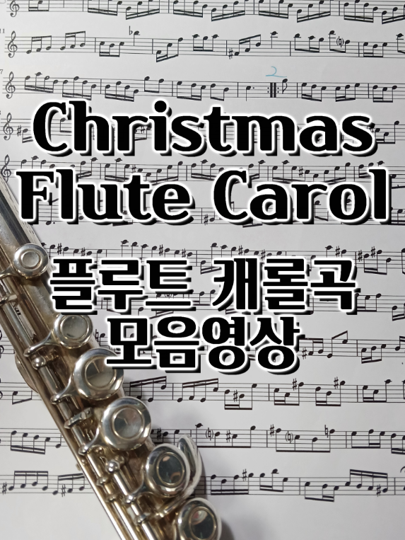 플루트 캐롤곡 연주 모음 (12월인데 왜 캐롤을 들을 수 없나요!?) Christmas Flute Carol / 플룻 송년회