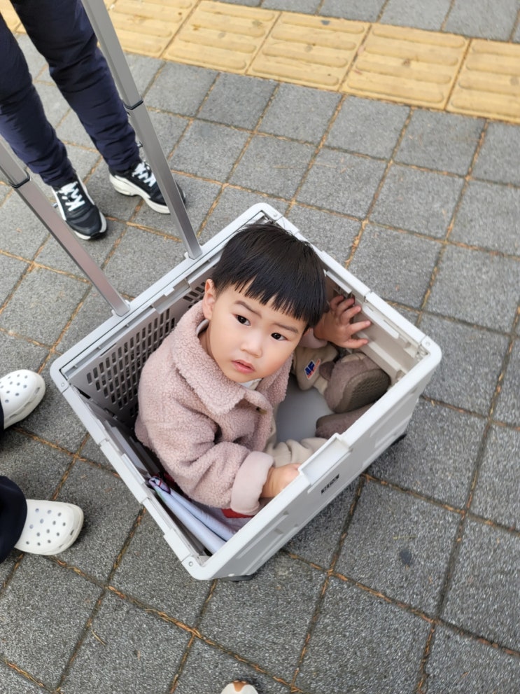  아빠의 육아블로그) 아빠육아일기 <코스코다녀오기>
