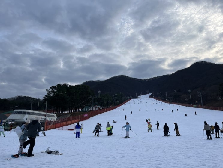  지산스키장 렌탈샵 모닝스키, 신상 스키복 리프트권 할인, 지산포레스트 스키장 개장