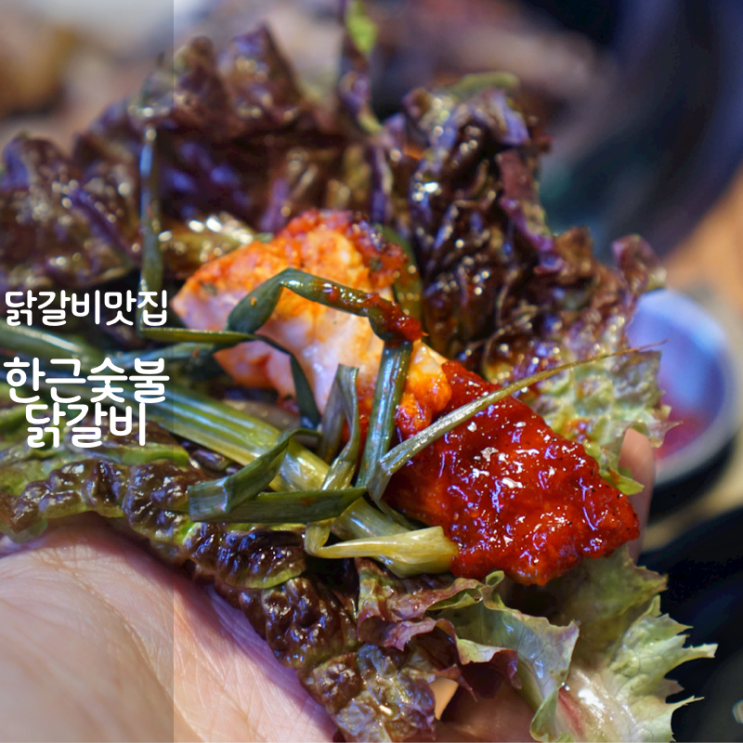  동탄 장지동 맛집 한근 숯불 닭갈비 순살 간장 닭갈비