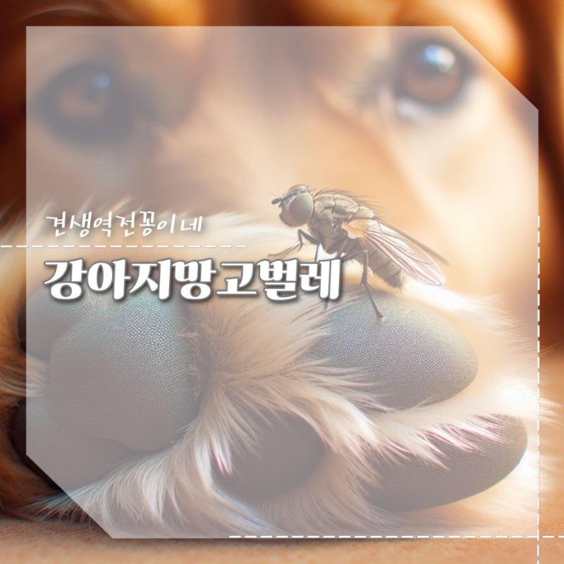 강아지 망고벌레 증상 원인부터 치료 예방까지 총정리 : 네이버 블로그