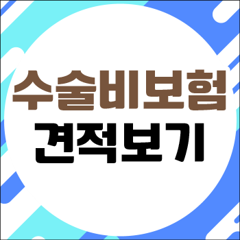  피지낭종 수술비보험 및 질병 수술비 및 보험진단비수술비 비교해보기