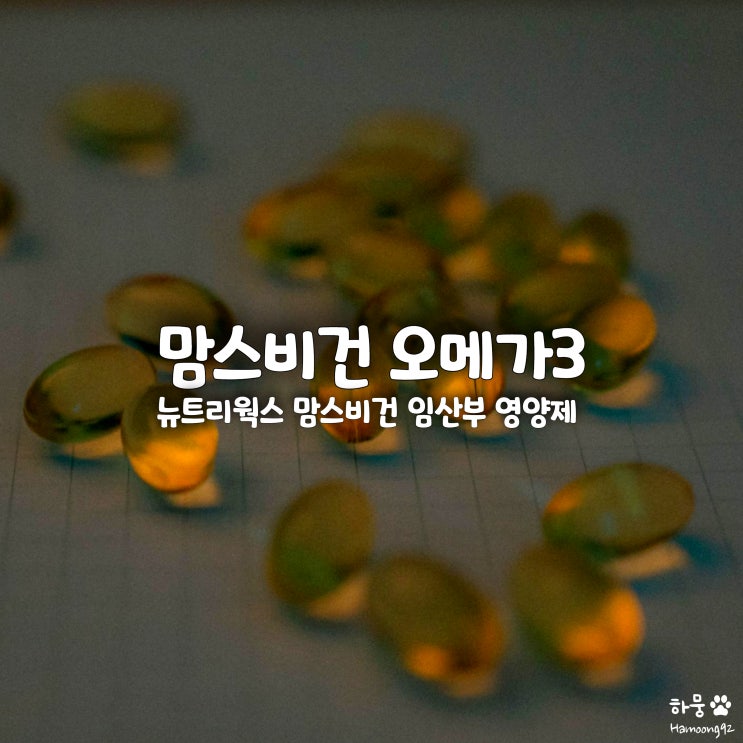  어린이/임산부 식물성비건 영양제 추천, 뉴트리웍스 오메가3
