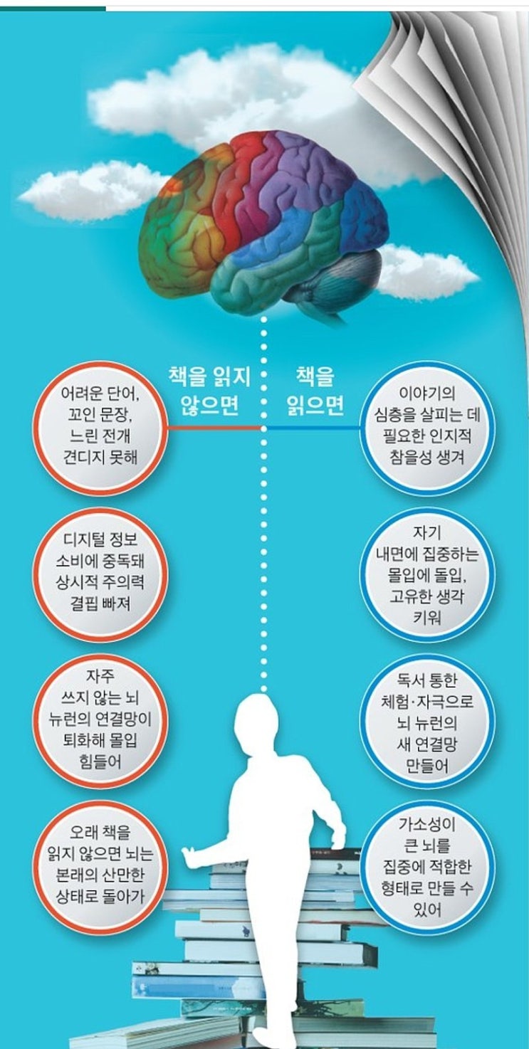 인간의 뇌, 책 안 읽으면 원시인처럼 된다 인간의 뇌, 책 안 읽으면 원시인처럼 된다
