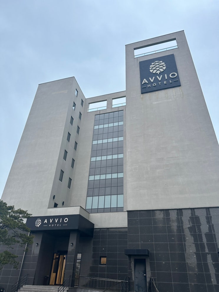  강릉호텔 아비오호텔 가성비 진짜 좋은 오션 뷰 숙소 솔직 후기는..?  강릉바다 뷰 avio