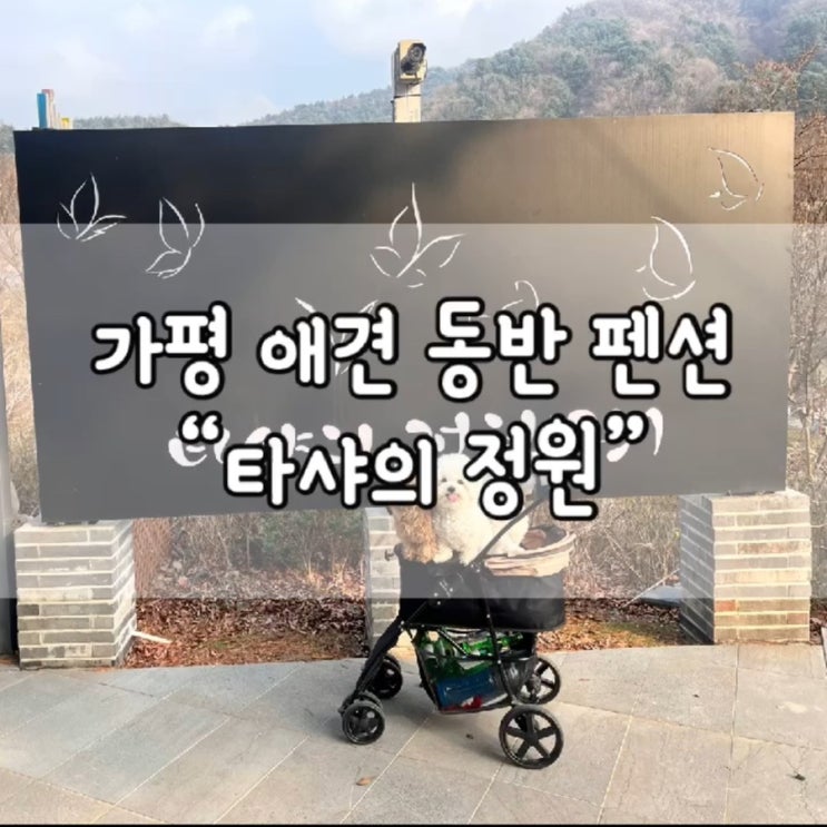  가평 펜션 / 가평 타샤의 정원 / 가평 애견 동반 펜션 / 가평 애견 동반 펜션 추천 / 가평 펜션 추천 / 가평 계곡 펜션