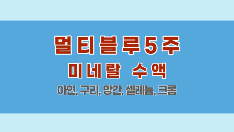 멀티블루5주 효능 효과 멀티블루주사 미네랄 영양 수액 주사 (아연, 구리, 망간, 셀레늄, 크롬....