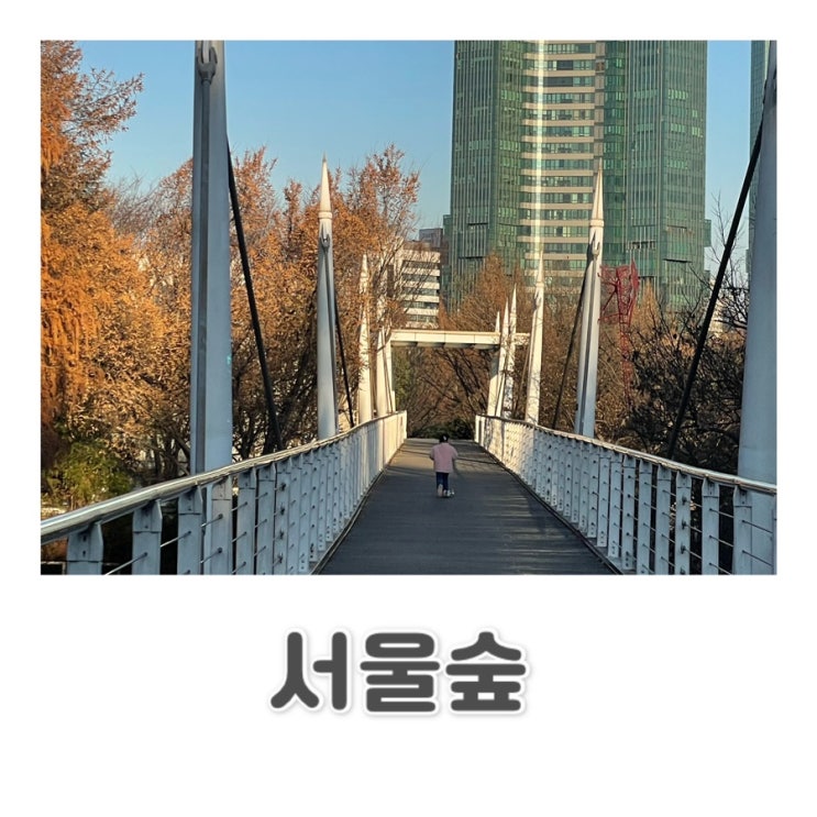  아이와 함께 뛰어 놀기 좋은 서울 숲
