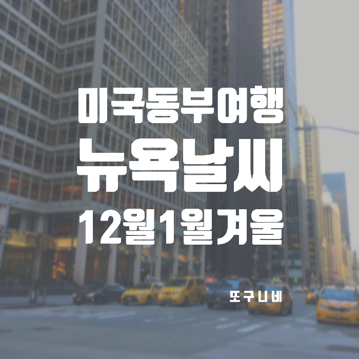  뉴욕 날씨 12월 1월 겨울 미국 뉴욕 여행