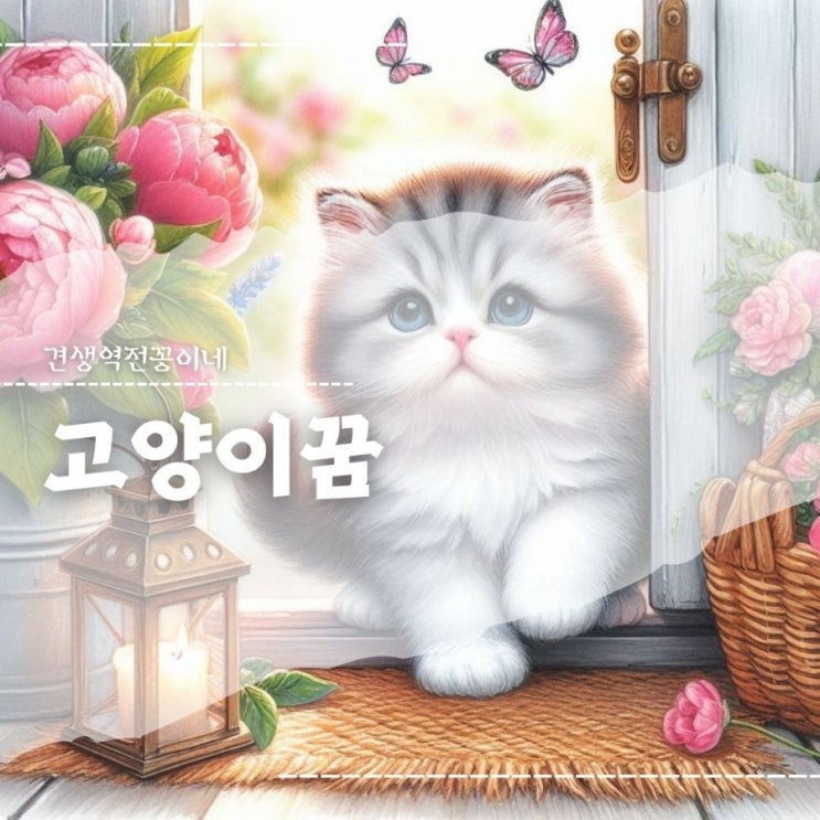  고양이 꿈 고양이가 집에 들어오는 꿈 해몽