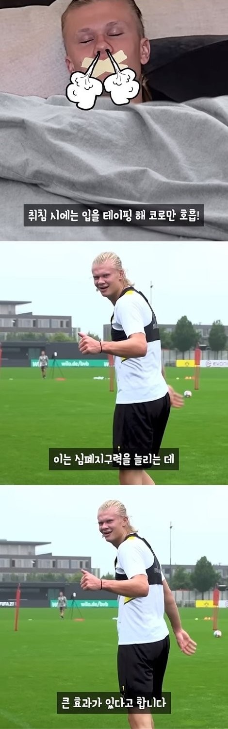 어린이 수면 구강호흡(구호흡)이 건강에 안 좋은 이유?/ 홀란드도 코호흡(비호흡)위해 노력한다! 어린이 수면 구강호흡(구호흡)이 건강에 안 좋은 이유?/ 홀란드도 코호흡(비호흡)위해 노력한다!