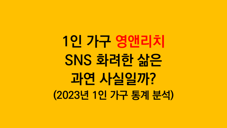  1인 가구 영앤리치 SNS 속 화려한 삶은 과연 사실일까? - 통계청 1인 가구 소득, 자산 분석 후기