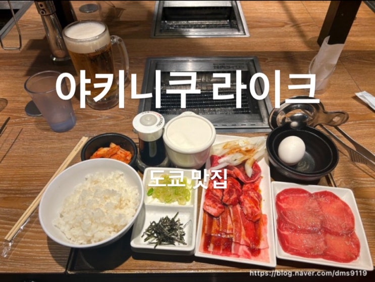  [도쿄 3박 4일] 여자 혼자 처음 해외여행 계획 1일차_저녁 , 야키니쿠 라이크 신주쿠서출구점