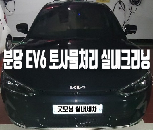  분당 실내세차 EV6 내부 토사물 제거 클리닝
