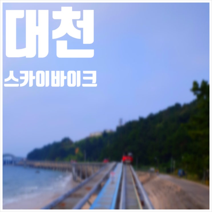  대천 스카이바이크 액티비티로 유명한 곳
