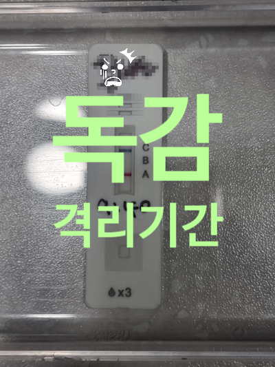  A형 B형 독감 증상 치료 격리기간