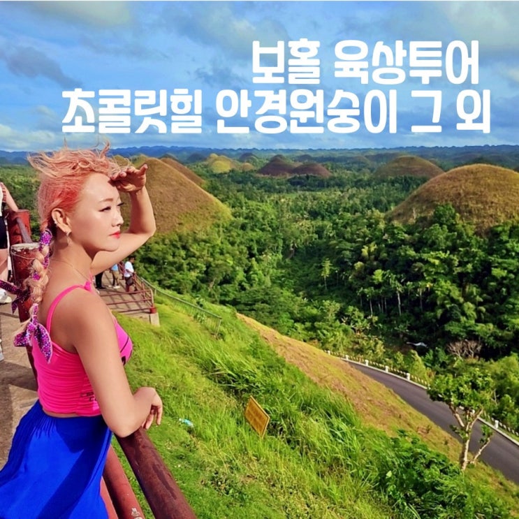  보홀 육상투어 초콜릿힐 안경원숭이 짚라인 맨메이드포레스트 현지 가격