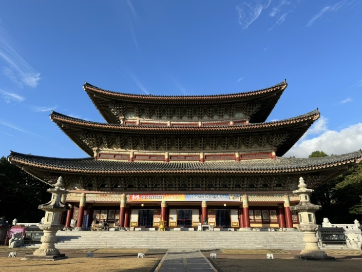  제주도 서귀포 가볼만한곳 유명 사찰 약천사 대적광전