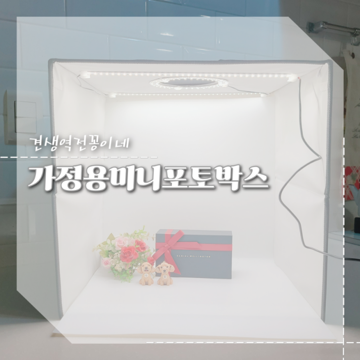  가정용 미니스튜디오 포터블 포토박스로 전문가 같은 애견용품사진찍기