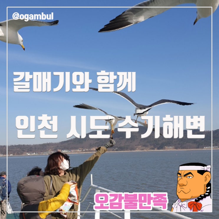  인천 시도 수기해변 가는 배에서 갈매기와 함께 주말 나들이