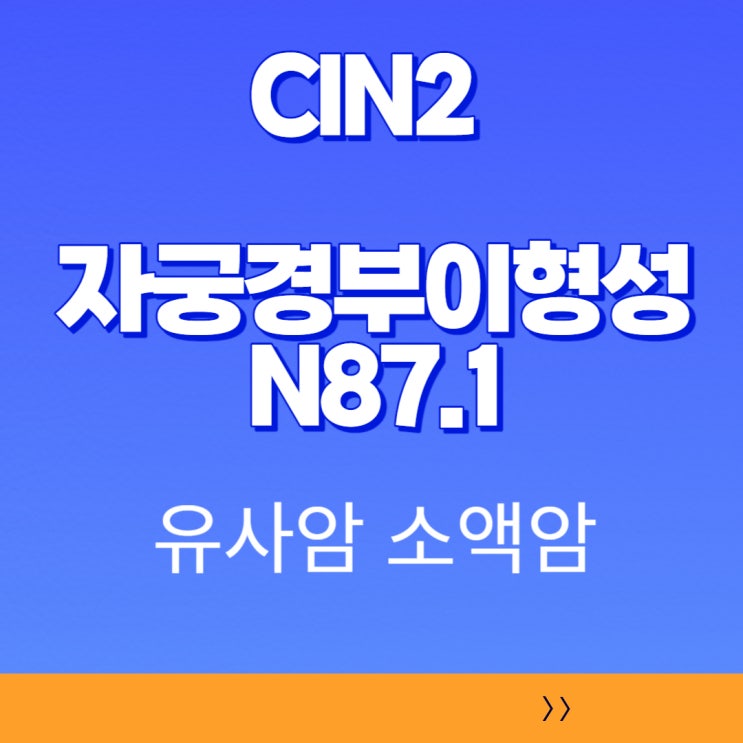 N87.1 중등도 자궁경부이형성( Moderate cervical dysplasia) 자궁경부상피내신생물 CIN 2 등급 병변 유사암 진단비 검토 중요!