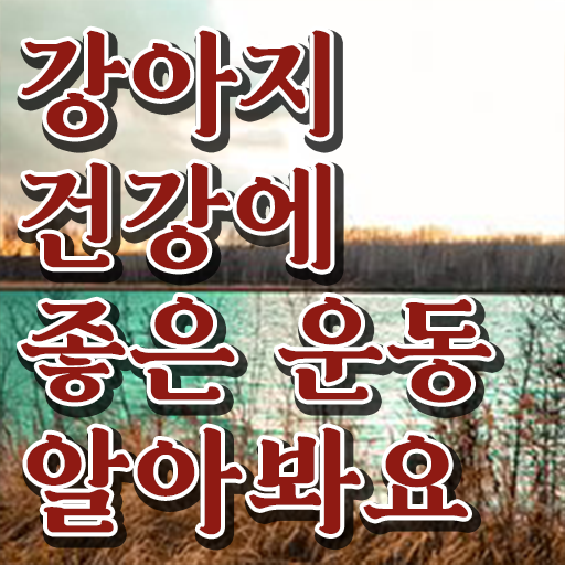  반려견운동지도사 1급 자격증 시험 정보 제공 ?