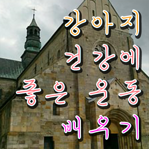  반려견운동지도사 1급 자격증 시험 제가 알려드릴게요 ~