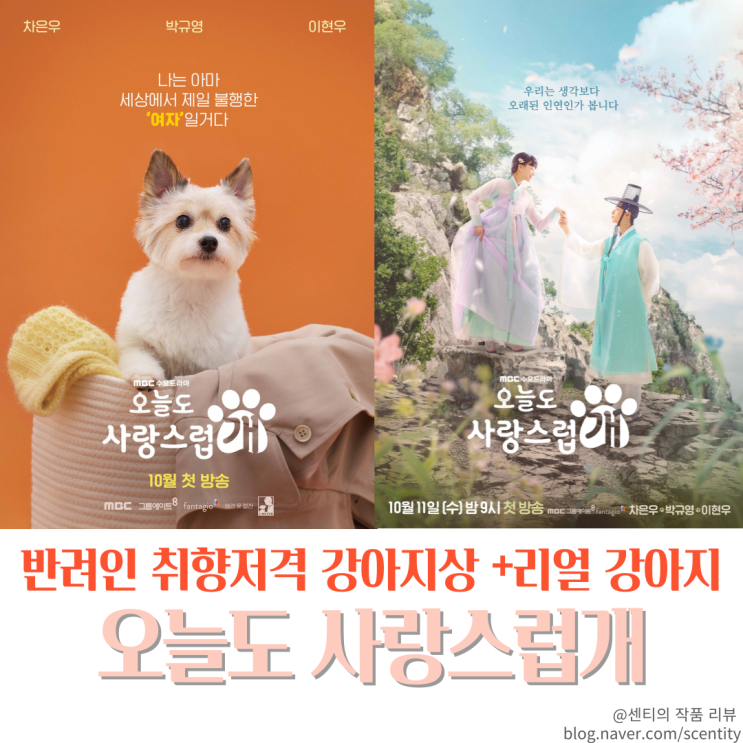 웹툰원작 이혜작가 등장인물 몇부작 (ft.<b>박규영</b>, <b>차은우</b>)