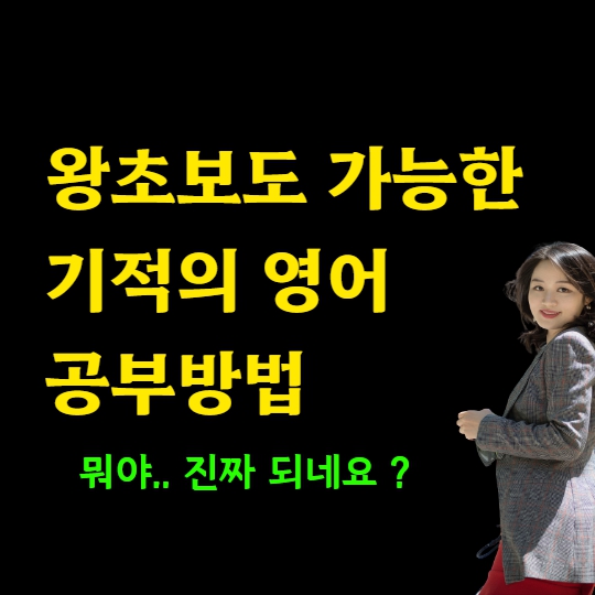  시흥 왕초보 영어회화 오픽 직장인 토스 토익 토플 아이엘츠 기관토플 유아 파닉스 기초